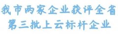 大冶市(shì)新增2家第三批省級上(shàng)雲标杆企業(yè)