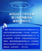 武漢市(shì)中小(xiǎo)企業(yè)數字化轉型服務商名單出爐